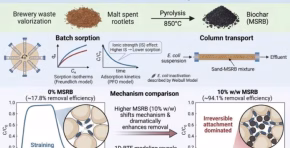 Investigadores de la Universidad de Patras transformaron residuos de malta en biochar que, combinado con arena, retuvo hasta el 94,1% de E. coli en pruebas de laboratorio.